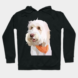 Cute Australian Labradoodle Hoodie